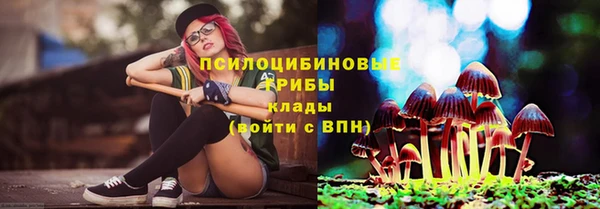 2c-b Аркадак