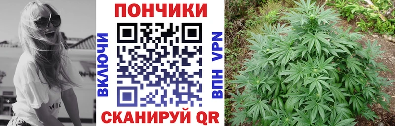 Каннабис индика  купить  сайты  Липки 