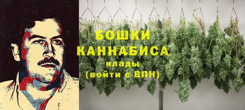 что такое наркотик  мориарти формула  Конопля Ganja  Липки 